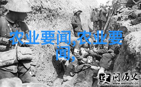 解密桔梗市场需求如何根据销售预测调整种植计划