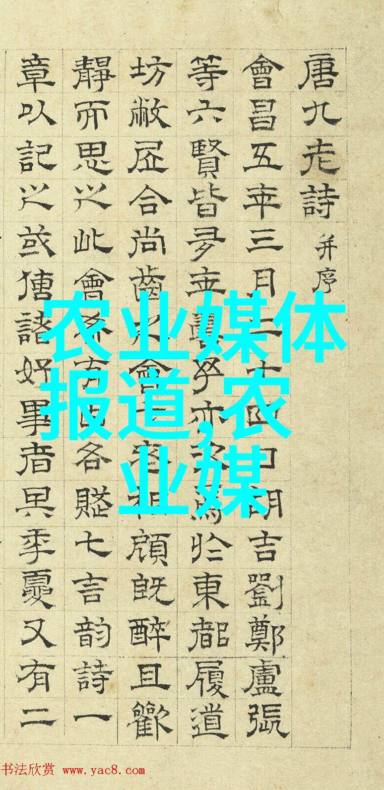 色彩永恒香气常新年四季开放盆栽选择与保养秘诀