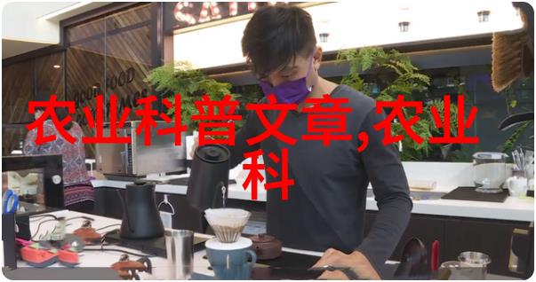 阳光下的甜蜜如何轻松种植苹果树