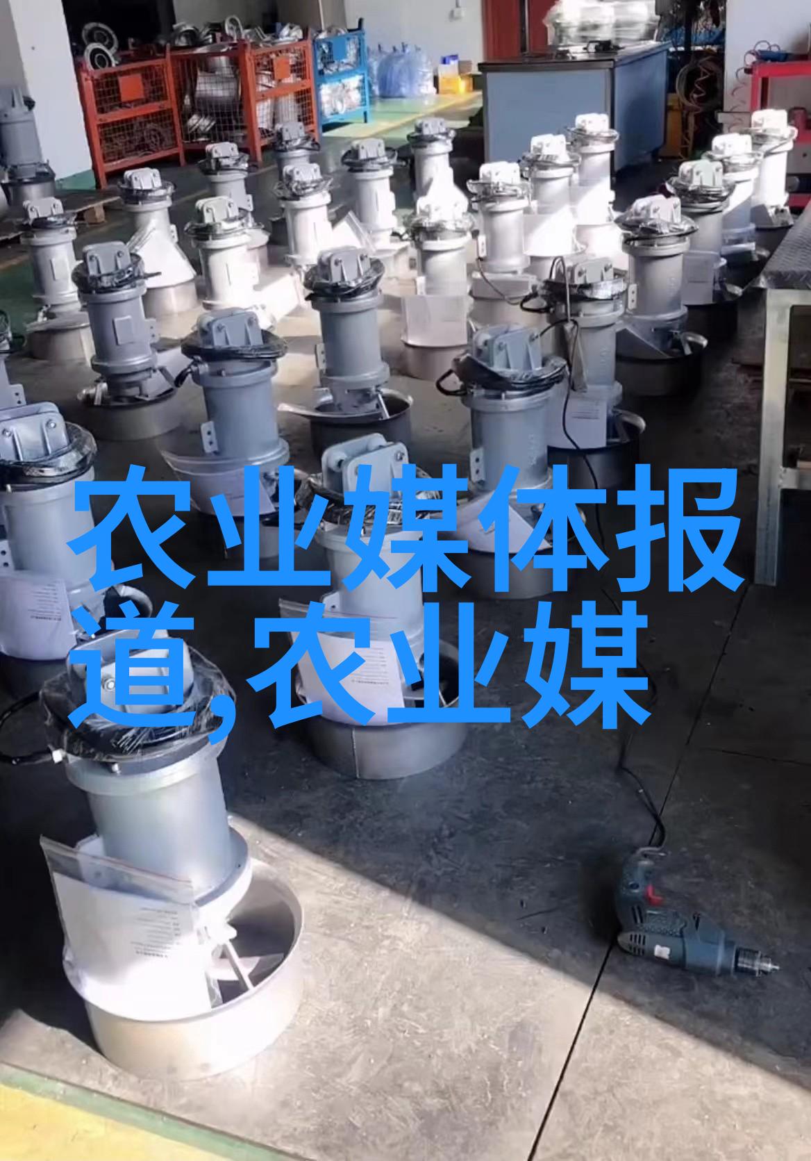 在山林间漫步观赏姬菇的最佳时光