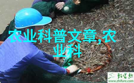 文化传承之美 探秘不同民族的手工艺品与原生态植物画像全集