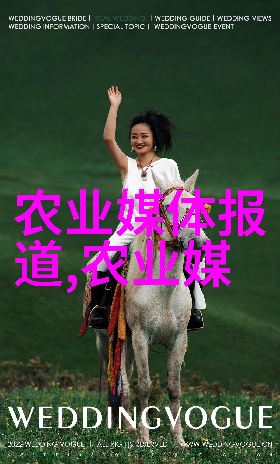 亲手培育金鱼是否能够获得经济收益
