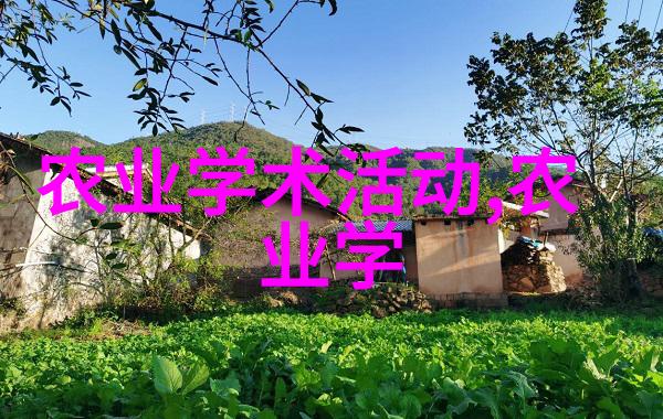沉香浮动探秘中国古韵茶的魅力