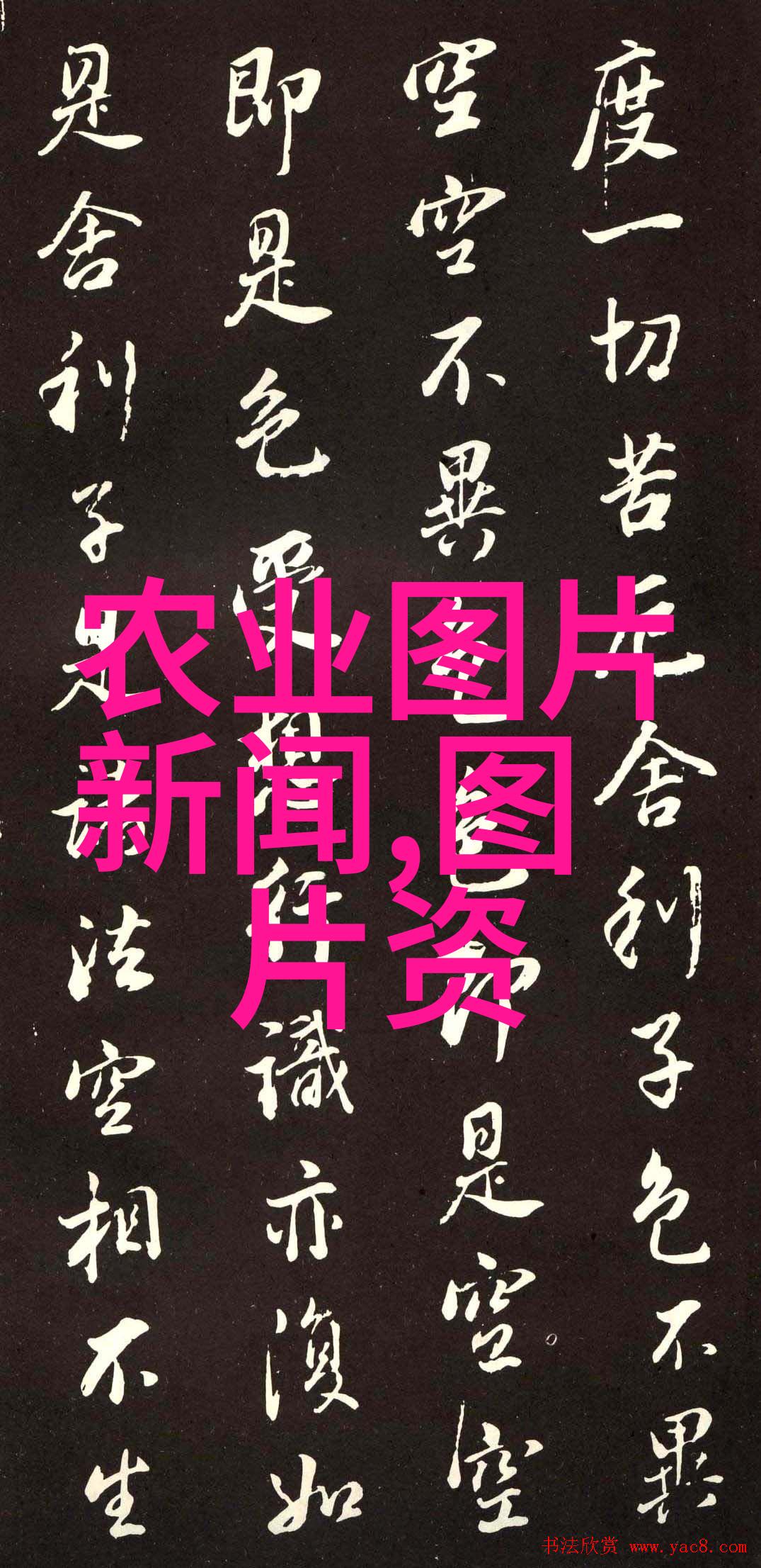 绿色宝库揭秘蔬菜的营养与烹饪技巧