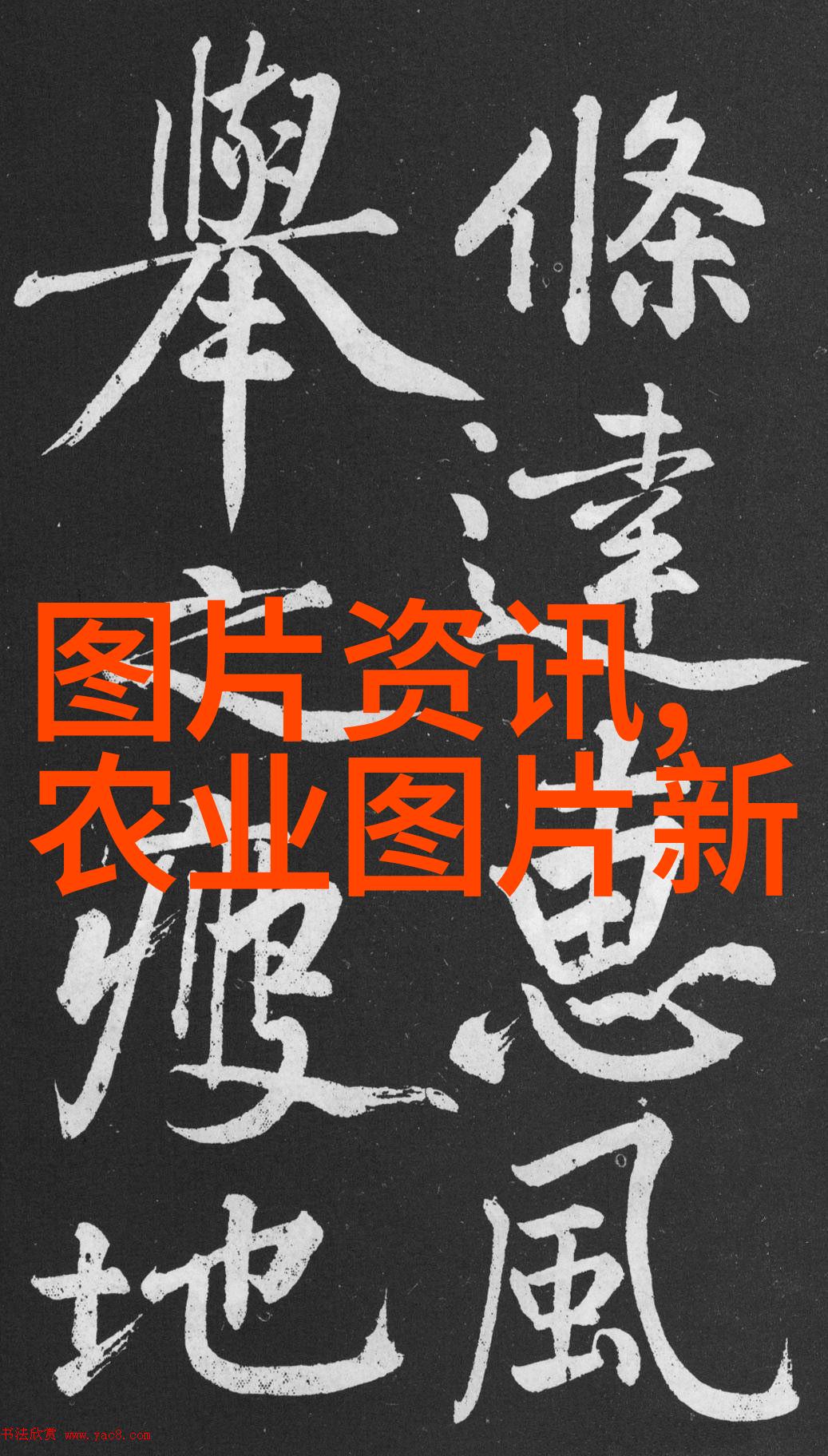 柿子椒的多种用途健康食谱与美味料理