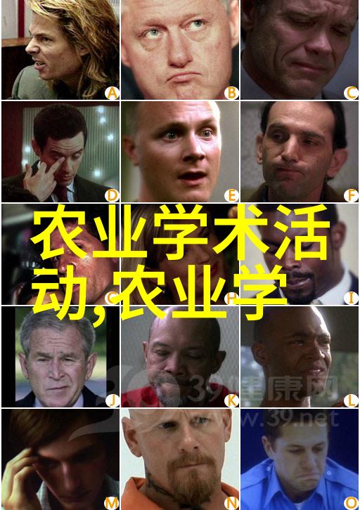 专业合作养殖企业服务高效的动物健康管理与市场营销策略