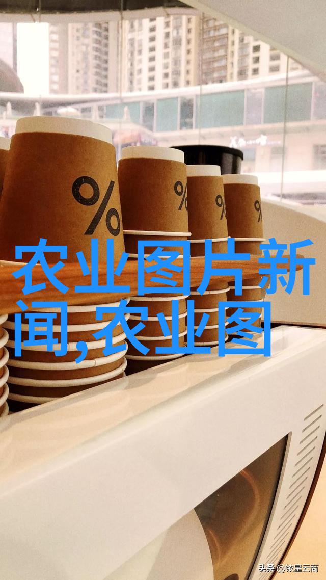 2023年种什么菜赚钱我来告诉你这些超级赚钱的蔬菜