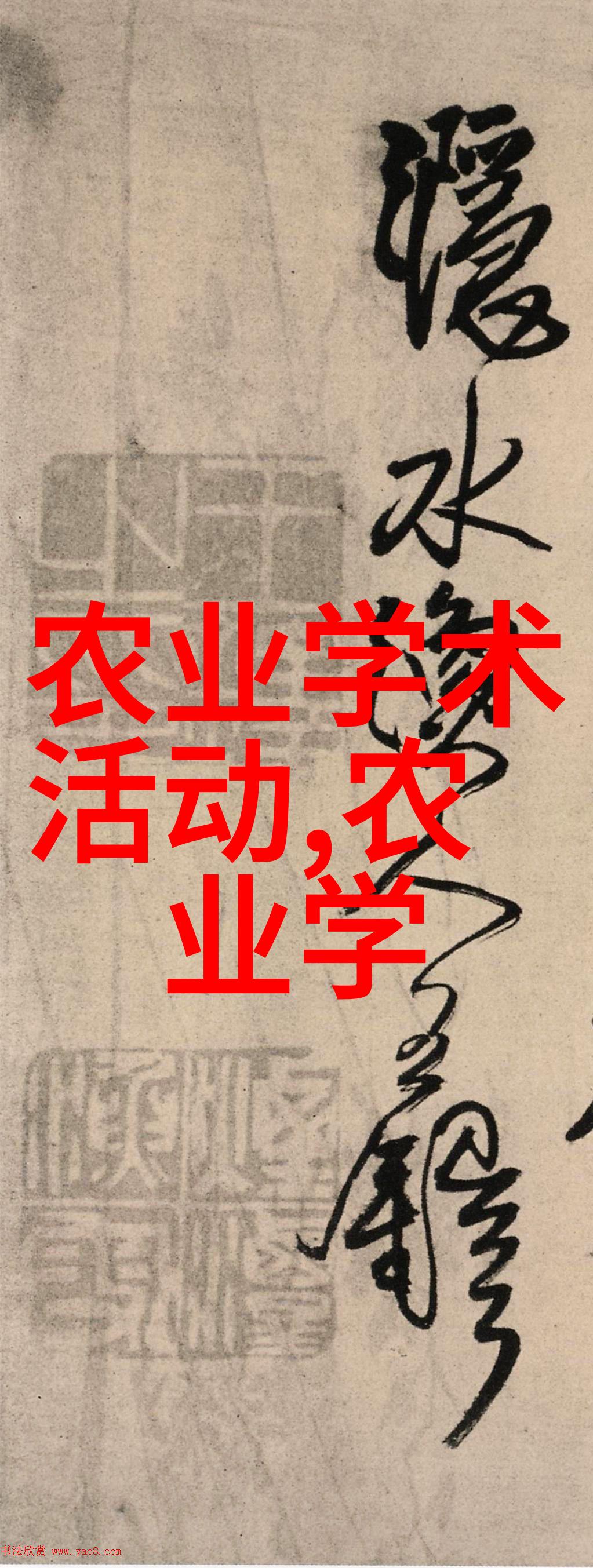 健康药材 - 探秘世界最贵的50大药材图片揭秘
