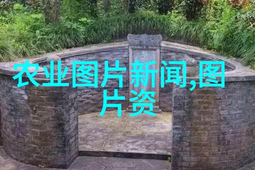 未来药材市场追踪近几年最有前景的中草药种植方向