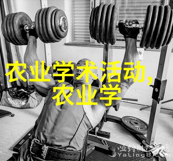 男的巧克力棒进去女的甜甜圈他的巧克力之恋她甜蜜的圈中世界