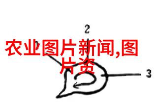 园林技术专升本考核的艺术与实践融合提升专业技能的关键点
