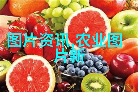 壁虎养殖艺术精彩的爬行动物世界