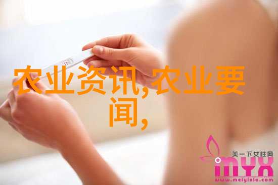 家庭阳台上的绿色角落如何种菜盆的妙招