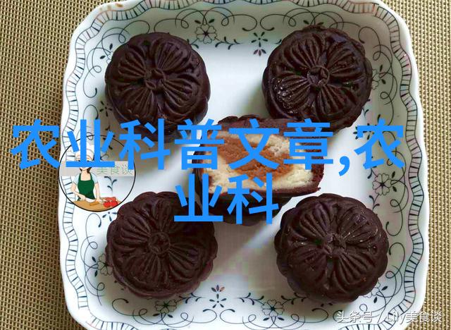 苗木种植园报价清单专业苗木定制服务