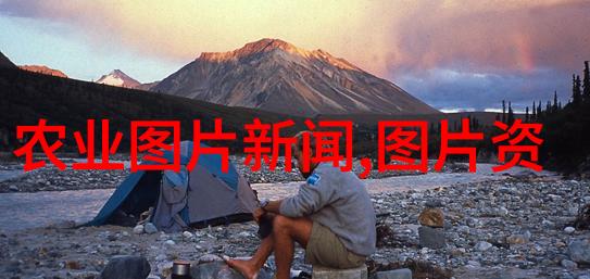 隰县森林公园云杉果实累累鸡爪槭价格12公分自然景观尽显丰饶