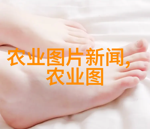 新一代观赏植物探索金葉復葉枫樹種類及其市場定價策略