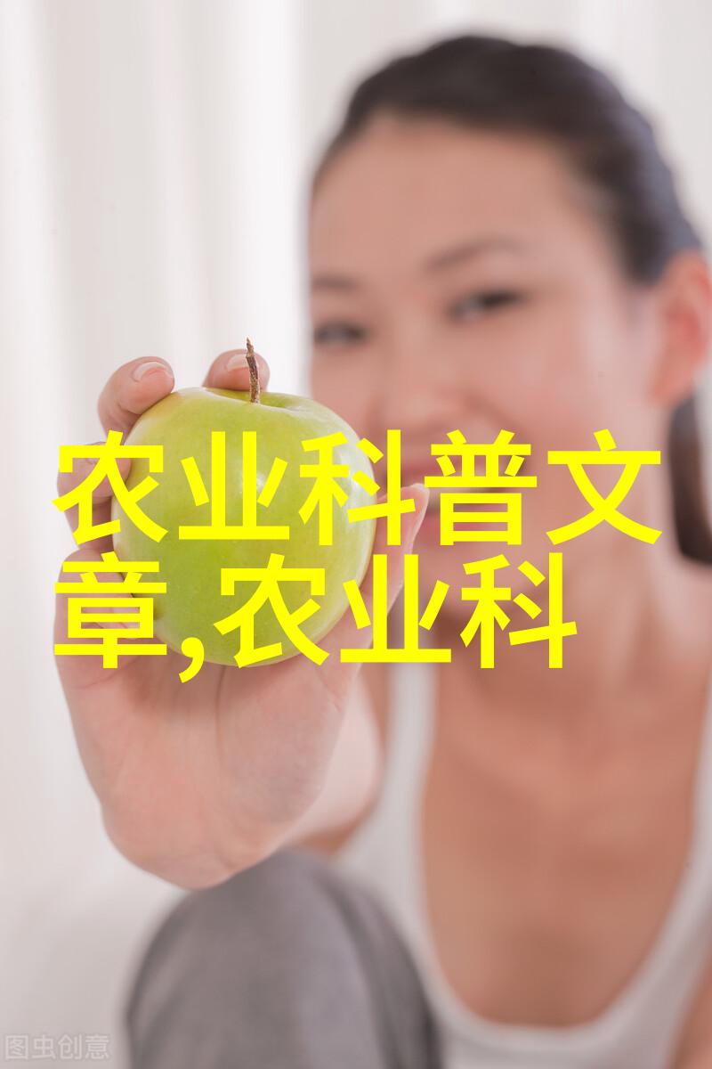 实践中遇到的主要挑战是什么以及应对策略是什么