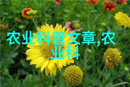 西洋菜在烹饪中的主要作用是什么
