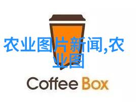 揭秘最旺宅的风水树引瑞迎祥的灵魂守护者