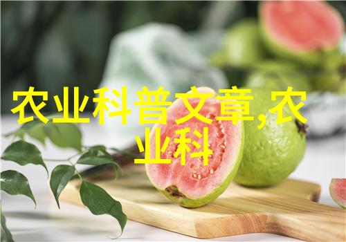 寻找自然奇迹那些因其治疗效果而备受推崇且价格昂贵的野生植物是谁们呢