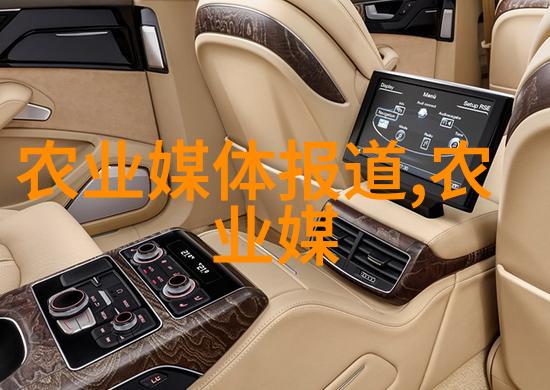 10年银杏树多少一颗园艺爱好者的绿意盎然投资