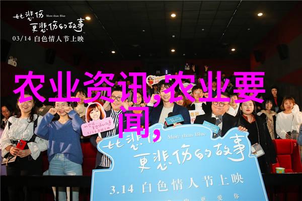 飞哥养蜂技术高效的蜂群管理与蜜蜡收获技巧
