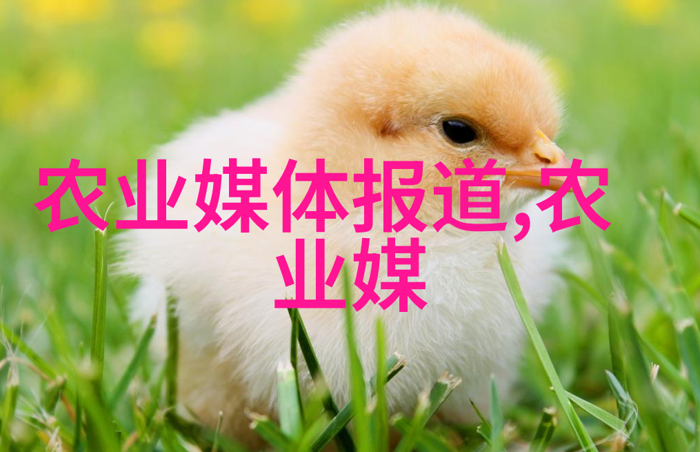茶叶的由来简介从野生到文化探索茶叶五千年的历史