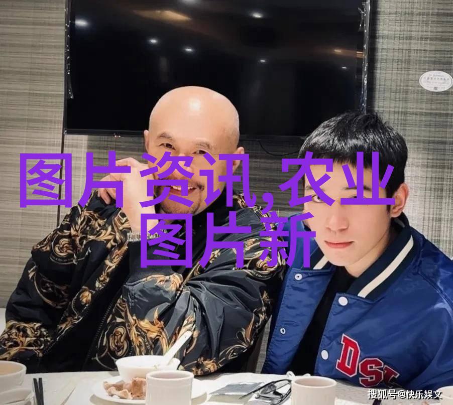 姬菇之谜森林深处的秘密