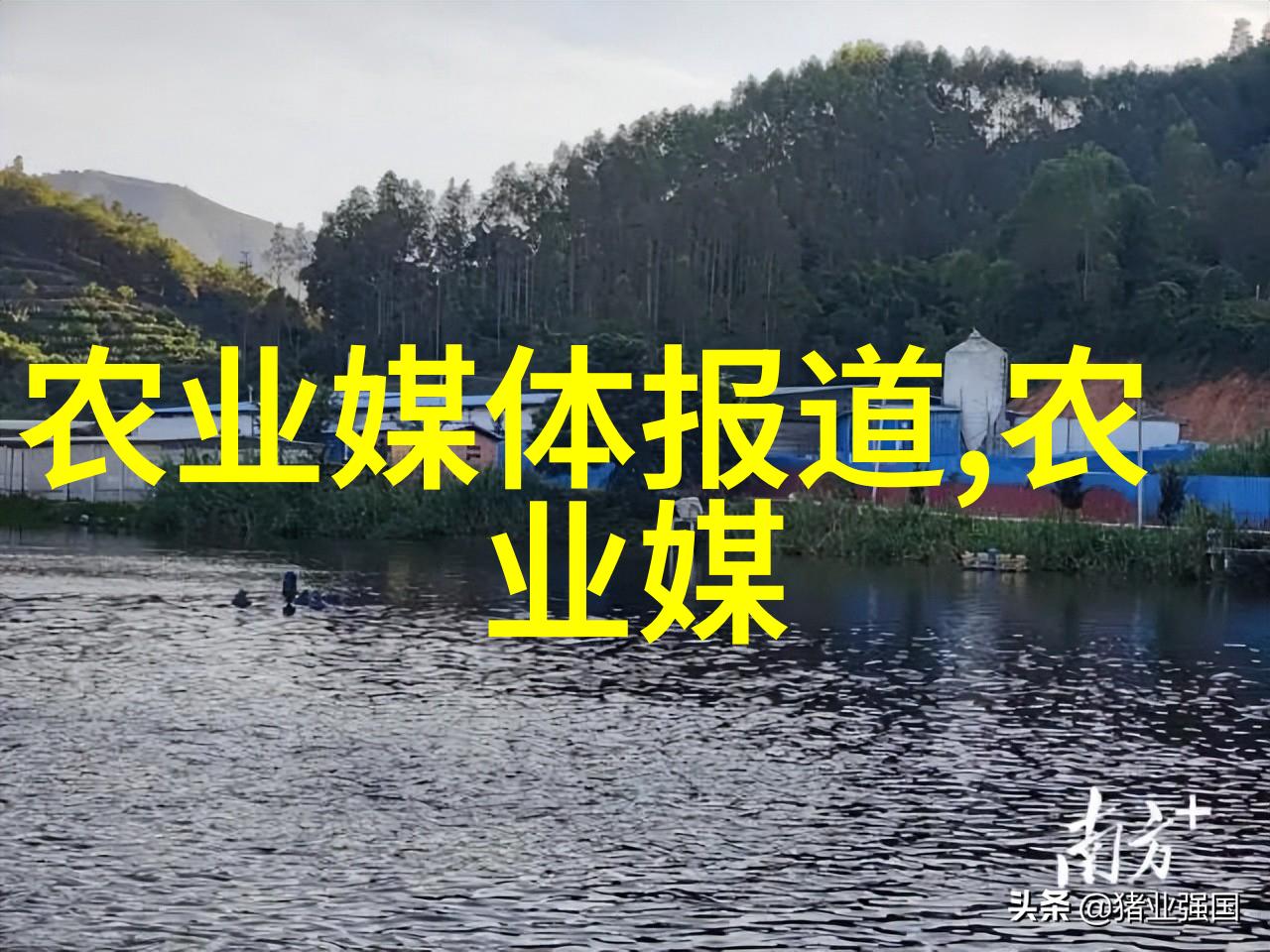 土地投资新趋势如何通过种植特定植物获得丰厚利润