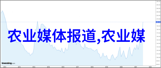 我爱食物我的根芹故事从菜园到餐桌