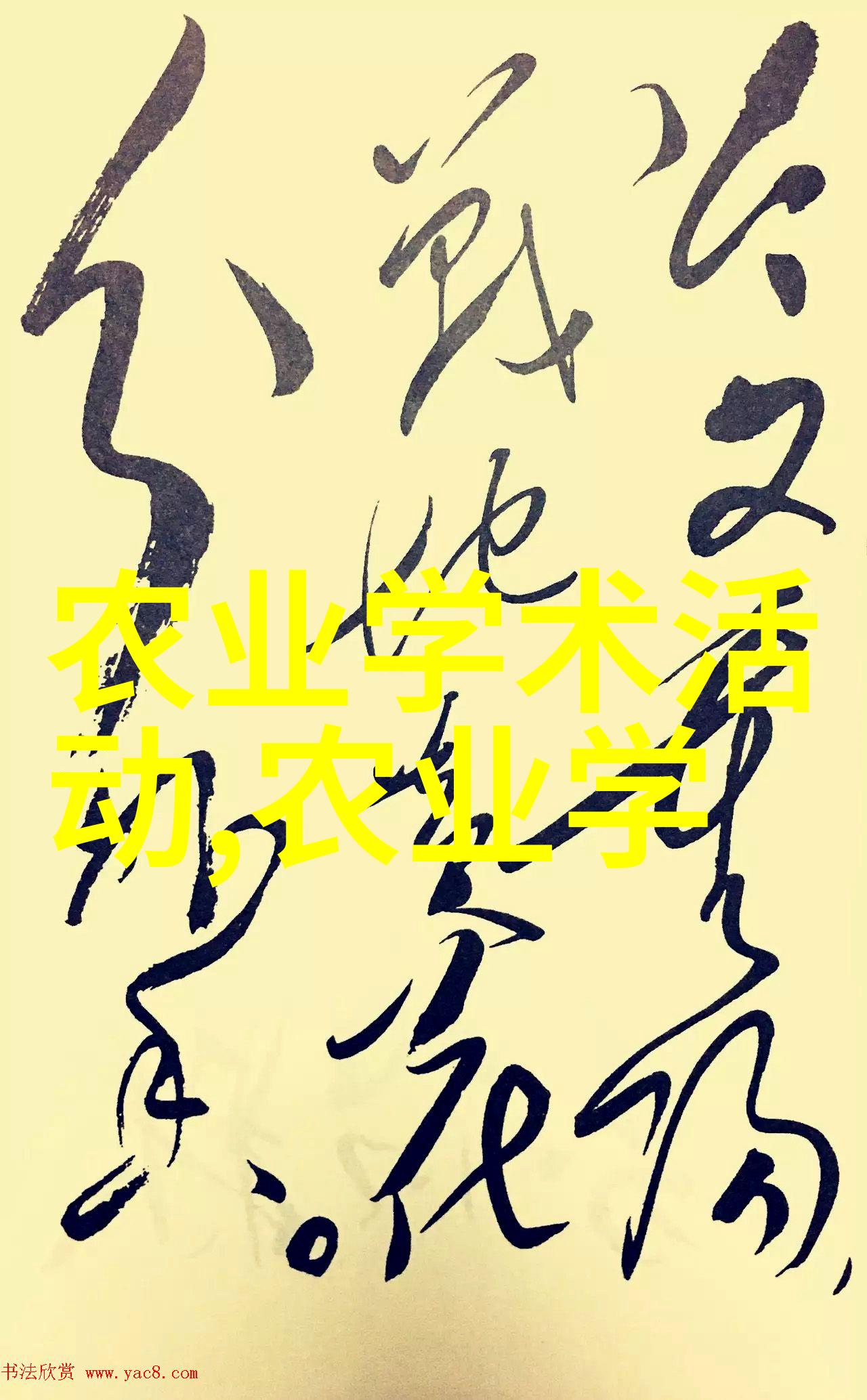 农民致富路上的新选择探索农民专业合作社的魅力