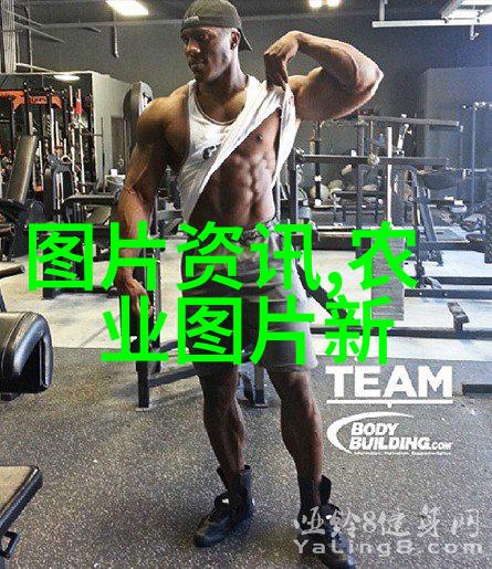 重生之花开富贵逆袭财富的传奇