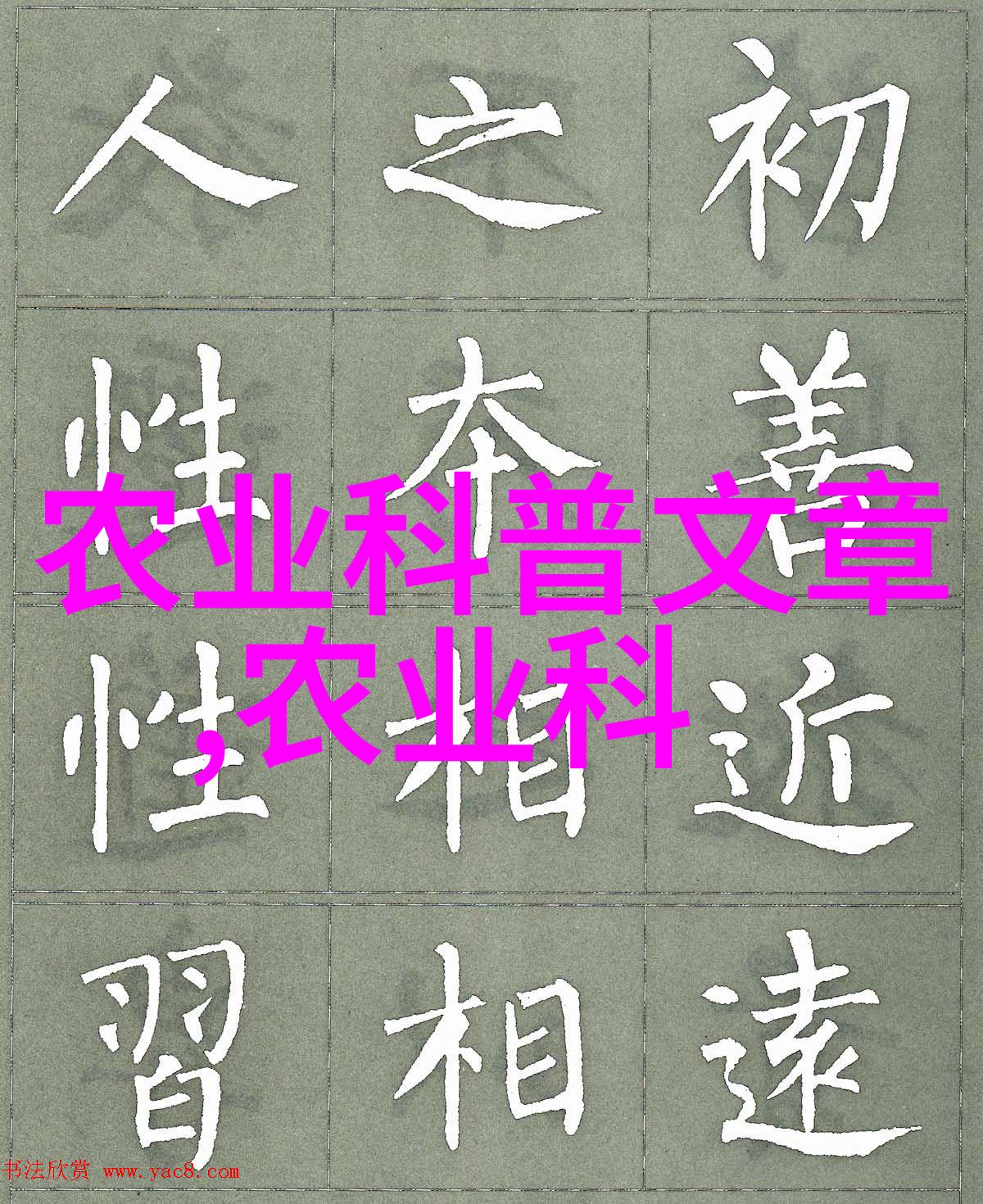 旱地药材种植指南选择适合干旱环境的植物