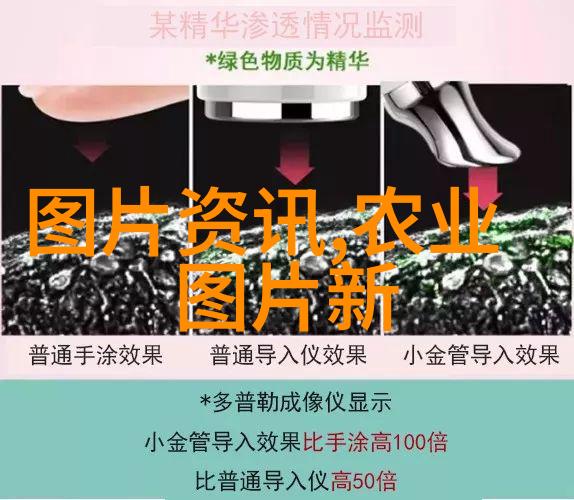 2023年中蜂养殖视频我是如何在家里养出蜜蜂的一位新手的趣味体验