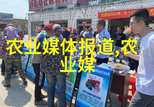 在不同气候条件下如何适时调控肉羊的饮食和运动量