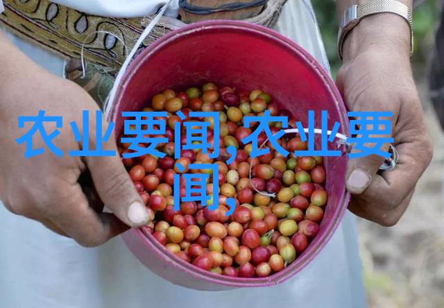 春风里的秘密花园揭开近期可播种草花种子的神秘面纱