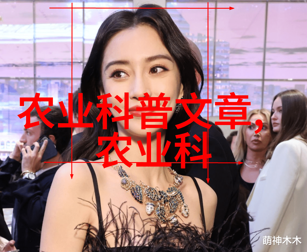 军旅生涯中的少校之荣耀与挑战