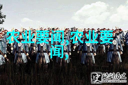 香气绽放揭秘世界各地独特茶叶形状与名称的故事