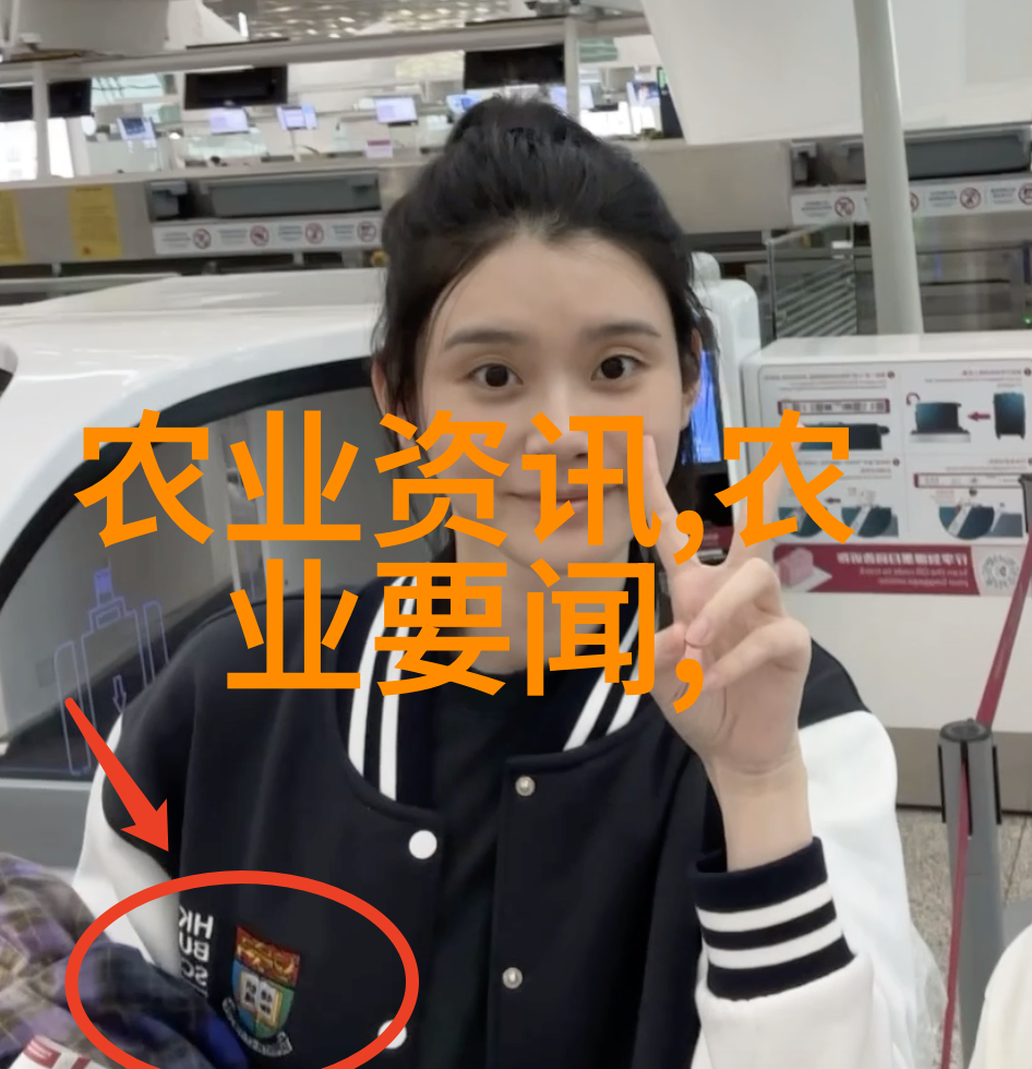 皮带机的历史演变及其在现代工业中的应用研究