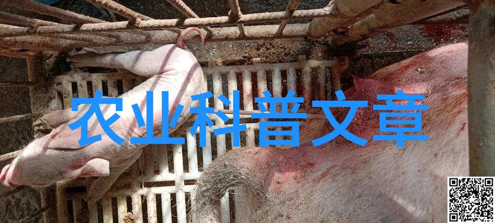 科普农业活动主题_农业科普展示内容_农业科普活动