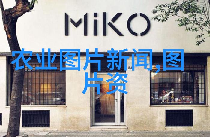 家庭阳台种菜盆家居生活的绿色智慧