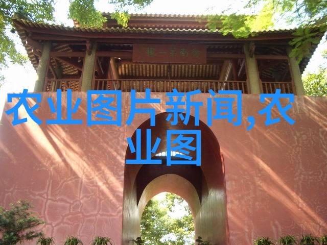 野菜大逃生从荒野到餐桌的不可能之旅