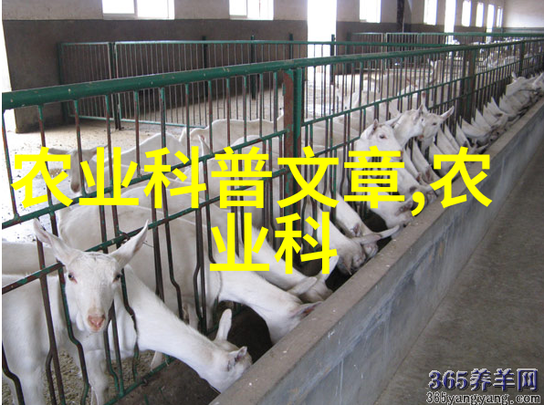 黄鳝养殖技术我来教你怎么轻松做个黄鳝大亨