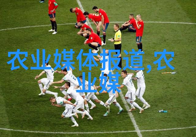 班级共享玩具的乐趣与挑战
