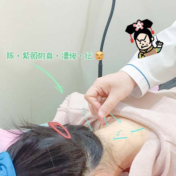 大门两旁的树木管理规范