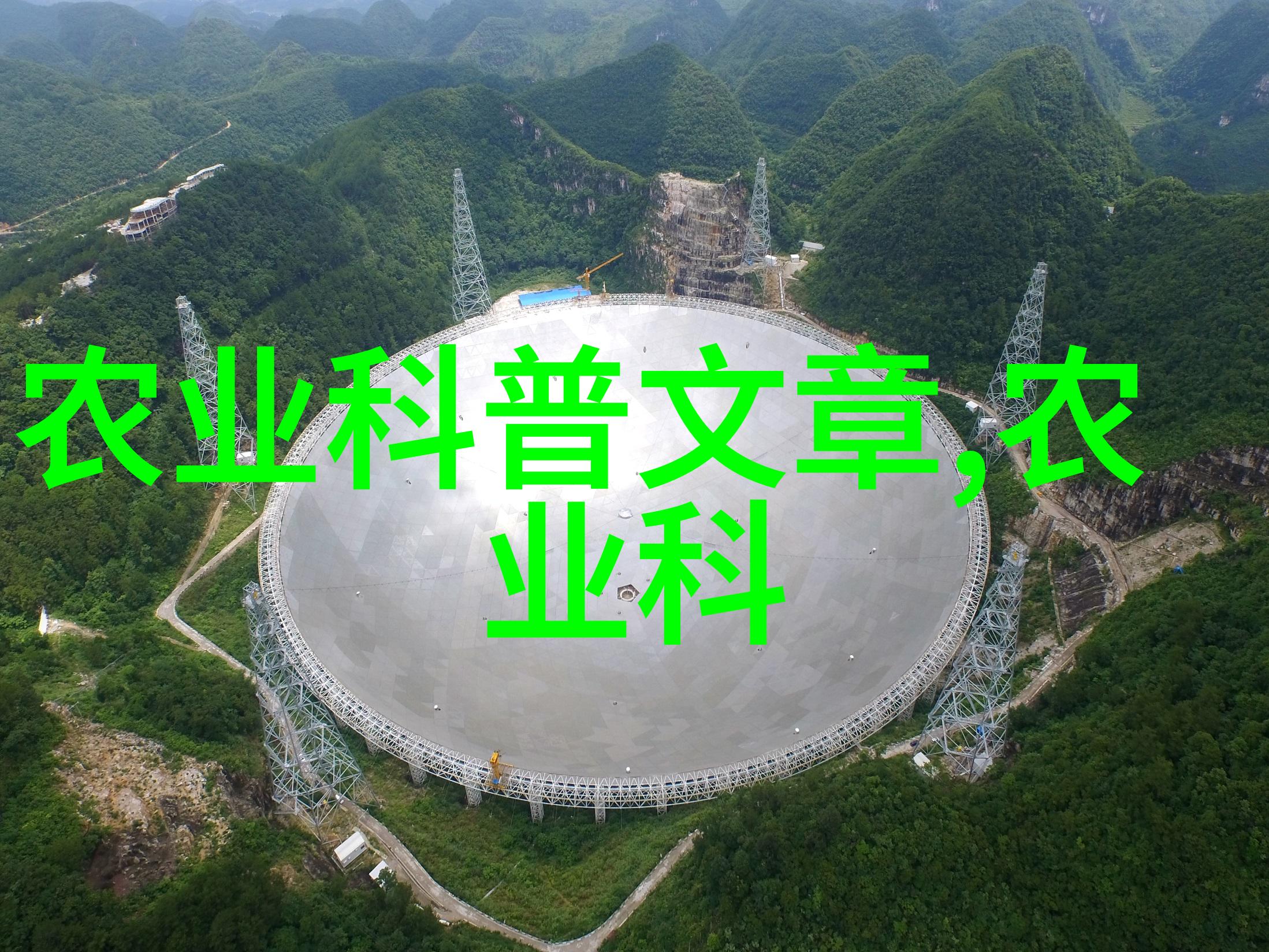 肥沃土壤的关键深入探究氮肥在农业中的作用与重要性
