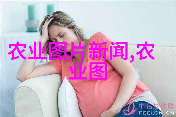 探索实地培训哪些农场提供养羊实习机会
