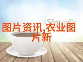 园艺新手的最佳选择轻松引入家庭绿色角落的水果之王