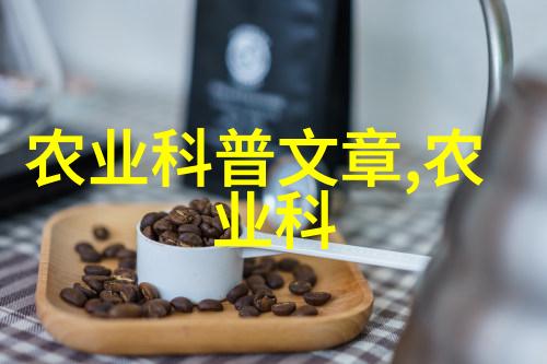 芦笋种植指南地下的金矿探寻者