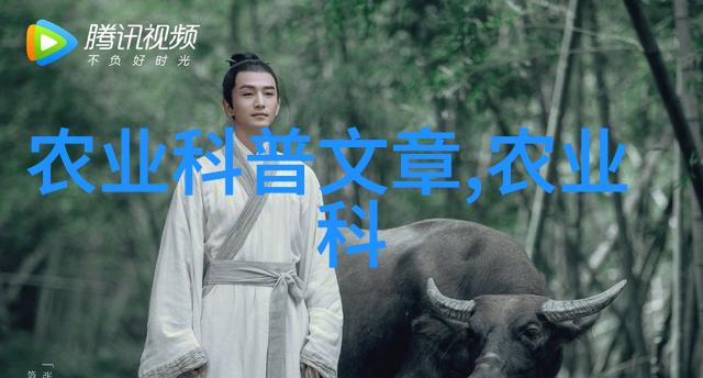 中国互联网行业发展报告新趋势新机遇与挑战